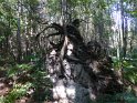 2015-09-10 15-18-04 Bonnelles - l'apres midi FGn